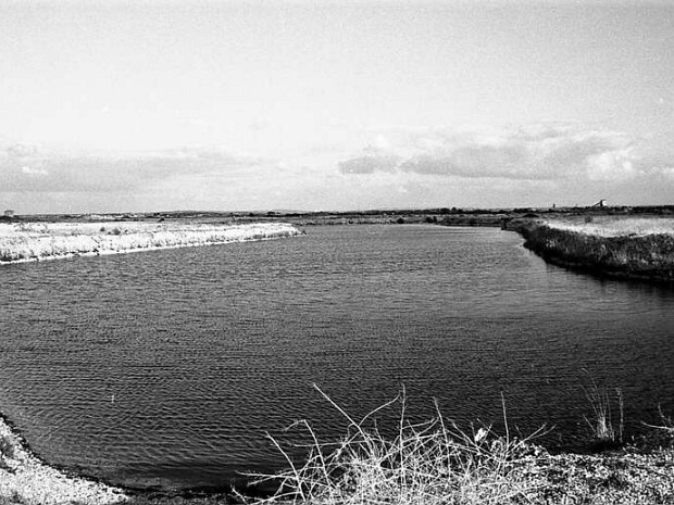 Pre- and Early Construction